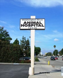 Washington Boulevard Animal Hospital - Whittier, CA - Animal Hospitals on  