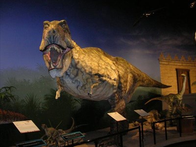 Creation Museum - Petersburg, KY - Dinosaur Statues on Waymarking.com