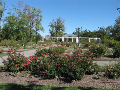 Delaware Park Rose Garden Buffalo Ny Rose Gardens On