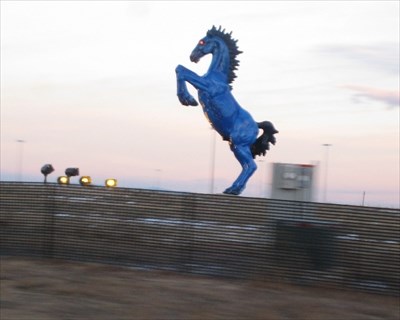 'Wild Mustang' Denver Airport. - Fiberglass Horses on Waymarking.com