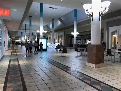 hollister lakewood mall