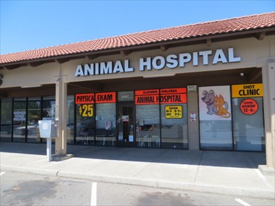 Elkhorn Walerga Animal Hospital Sacramento CA Animal Hospitals on 