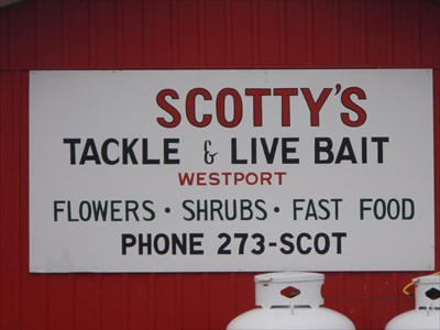 Scotty's Tackle & Live Bait - Westport, Ontario - Bait Shops on