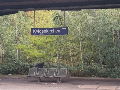 Post kaldenkirchen