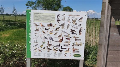 Dag buitenspiegel Tussendoortje Capreton Bird sign - Kerkwijk, NL - Flora and Fauna Information Signs on  Waymarking.com