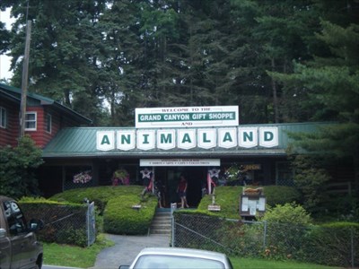 Animaland Zoological Park - Zoos on 