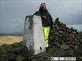 Image for BROWN WILLY TRIG PILLAR