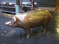 Image for Piggie Bank - Seattle, WA