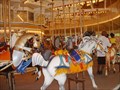 Image for The Riverview Carousel
