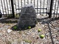 Image for The Grave of Johnny Appleseed
