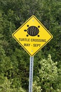 Image for "BOAT LAKE"  Turtle Crossing Sign - 