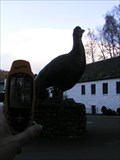 Image for Giant Grouse