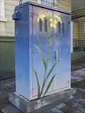 Image for Flower  Box - San Francisco, CA