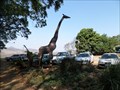 Image for Giraffe  -  Malkerns, Swaziland