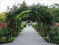 Image for Central Rose Garden; Christchurch, New Zealand