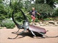 Image for Giant Stag Beetle, Monsanto Insectarium, St. Louis Zoo