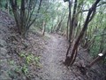 Image for Iwakuni Castle Downhill
