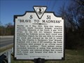 Image for "Brave to Madness"