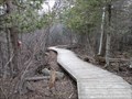 Image for Trail 26F Boardwalk in Stoney Swamp - Ottawa, Ontario, Canada