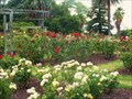 Image for Parnell Rose Gardens - Auckland, New Zealand