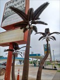 Image for Electric Palms - Oklahoma City, OK