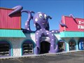 Image for The Purple Octopus