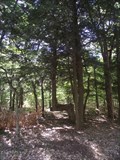 Image for Trail Tree - Lake Michigan Recreation Area