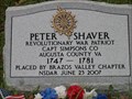 Image for Peter Shaver