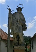 Image for St. John of Nepomuk // sv. Jan Nepomucký - Kamenice, Czech Republic