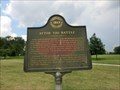 Image for After the Battle River Raisin Battlefield 1813 - Monroe MI