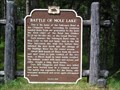 Image for Battle of Mole Lake