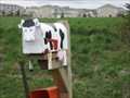 Image for Cow Mailbox - rural Des Moines, IA