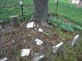 Image for McDowell Cemetery - Altoona, Pennsylvania