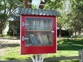 Image for Wilhite Road Lil Library - Clovis, NM
