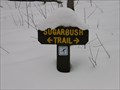 Image for Sugarbush Trail - Whitlam Woods - Chardon Ohio