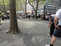 Image for Bryant Park Petanque Courts  -  New York City, NY
