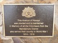 Image for WW1 Avenue of Honour - Maindample, Victoria, Australia