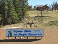 Image for Alpine Slide at Magic Mountain - Big Bear Lake, California