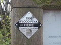 Image for 1996 Flood Mark - Portland, OR
