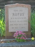 Image for Rufus the Bear