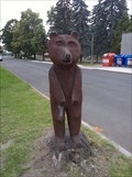 Image for Drevený medved / Wooden bear, Slavetín, Czechia