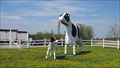 Image for Buttercup the Cow and Daisy the Calf - Sussex, New Brunswick