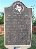 Image for Lost Pines of Texas