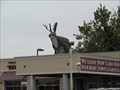 Image for Big Jackalope on a Roof - Fort Worth, Texas