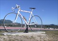 Image for The Giant Bicycle. Taupo. New Zealand.