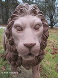 Image for Lion at the Canton Visual Arts Center - Canton, MA