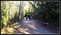 Image for Seaview Walk Trailhead — West Vancouver, BC