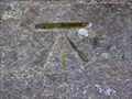Image for Cut Bench Mark on St Nicholas Church, Pevensey, Sussex.