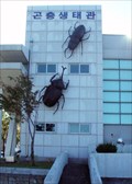 Image for Giant Beetles - Yangyang Insectarium (&#50577;&#50577; &#44260;&#52649;&#49373;&#53468;&#44288;)   -  Yangyang, Korea