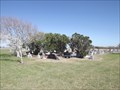 Image for El Toro Cemetery - San Perlita TX